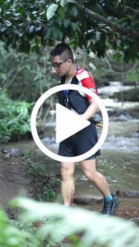 BIB:  <button type="button" onclick="openModal(27824732)" class="btn btn-primary btn-sm float-right" data-toggle="modal" data-target=".modal-high-quality">
                <i class="fa fa-download"></i> Download
                </button>